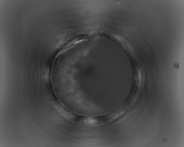 X0000091550610200708241757