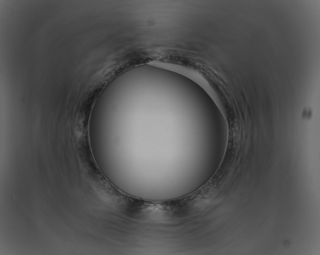 X0000091550611200708241757