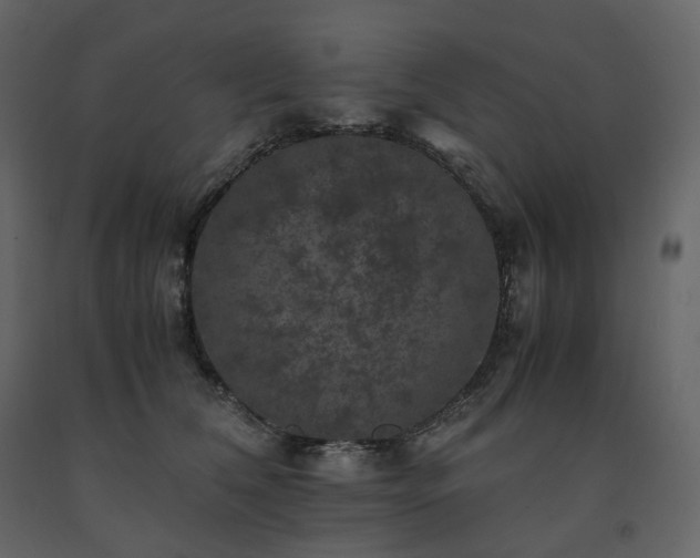 X0000091550612200708241757