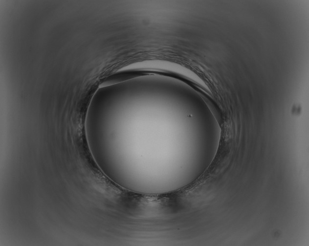 X0000091550613200708241757