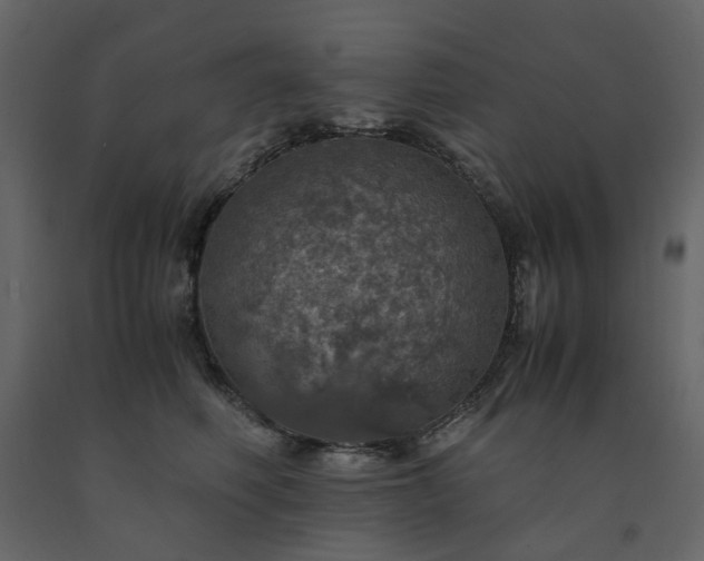 X0000091550614200708241757