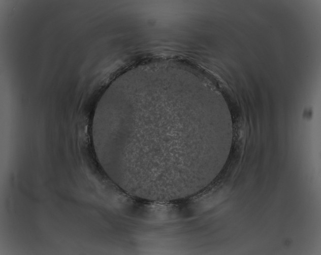 X0000091550615200708241757