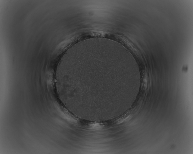 X0000091550616200708241757