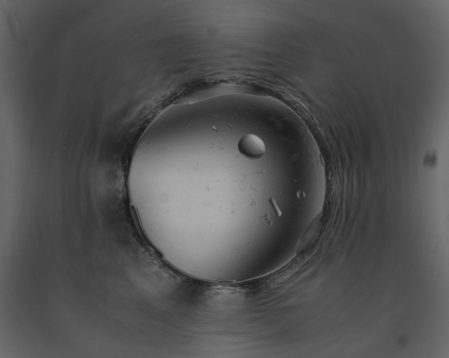 X0000091550617200708241757