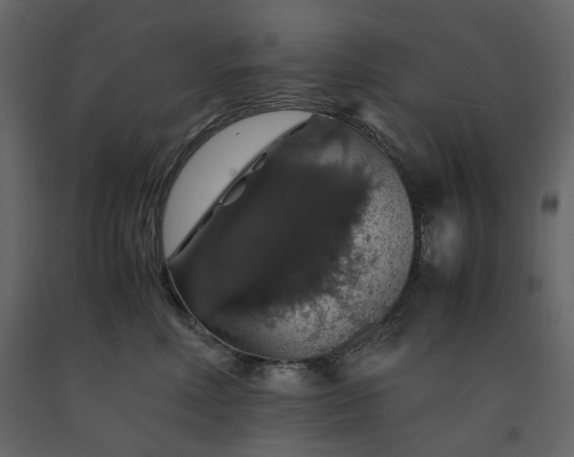 X0000091550618200708241757