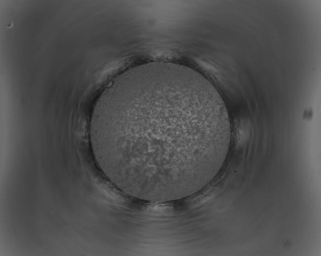 X0000091550619200708241757
