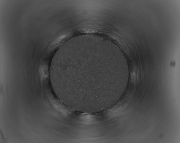 X0000091550620200708241757