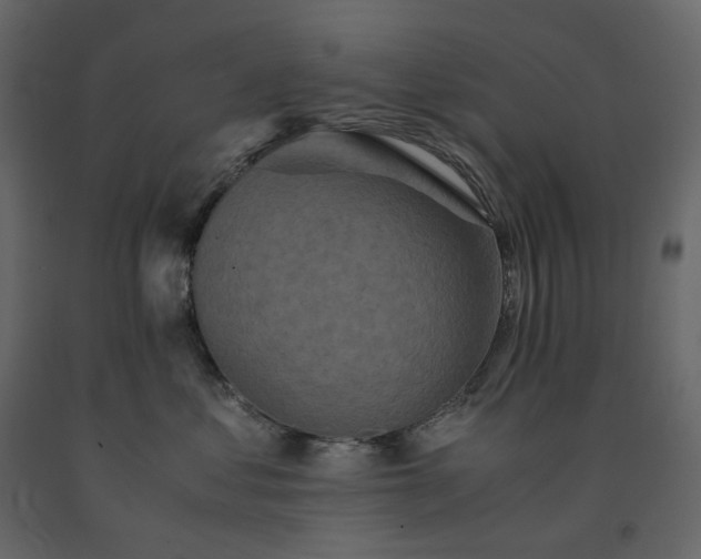X0000091550621200708241757