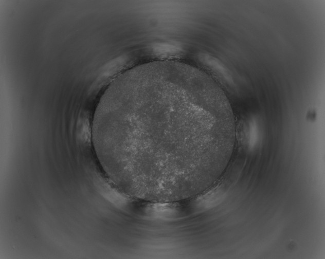 X0000091550622200708241757