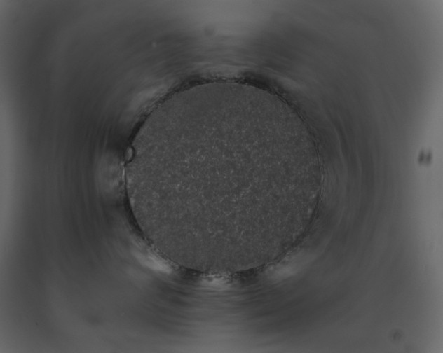 X0000091550624200708241757