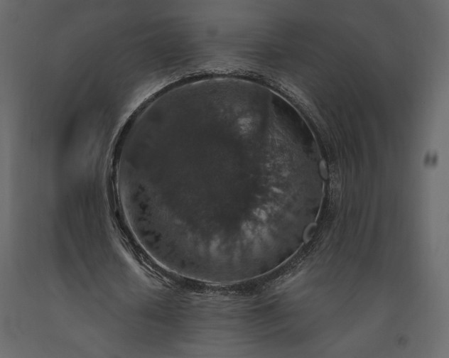 X0000091550626200708241756