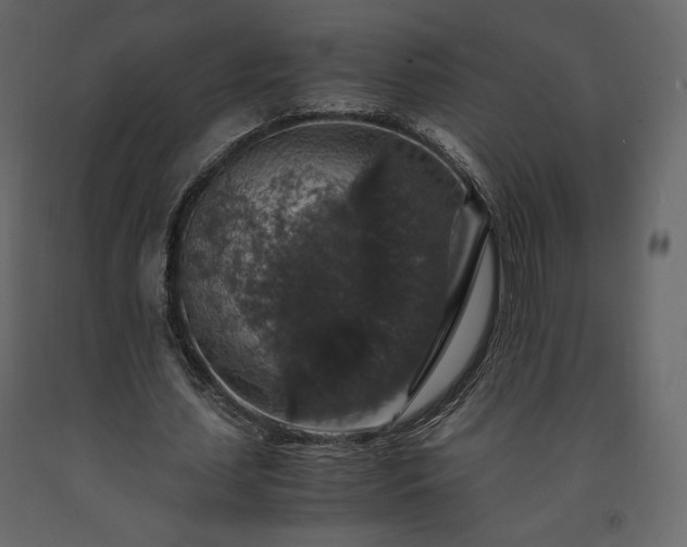 X0000091550627200708241756