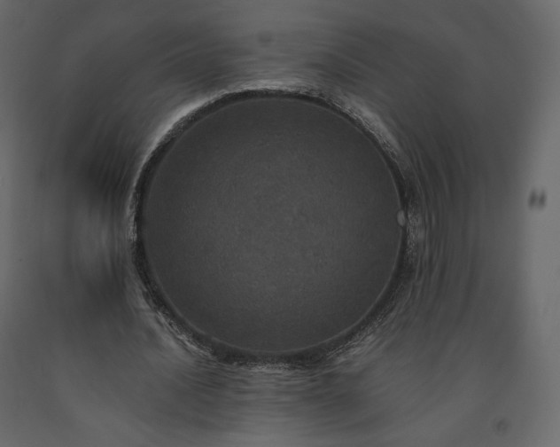 X0000091550628200708241756