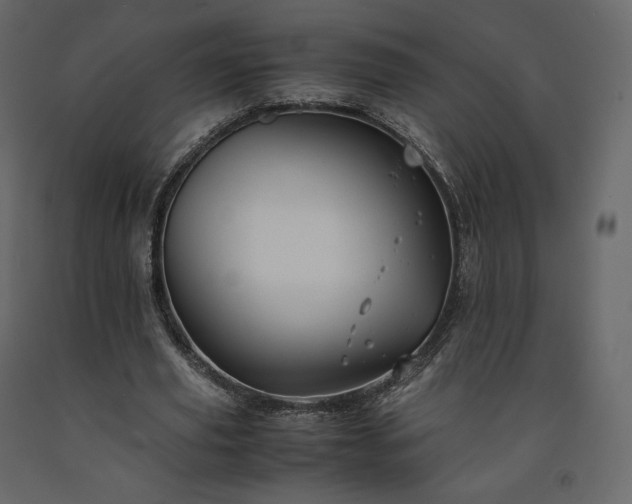 X0000091550629200708241756
