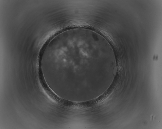 X0000091550630200708241756