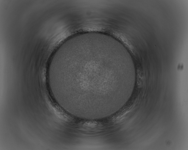 X0000091550631200708241756