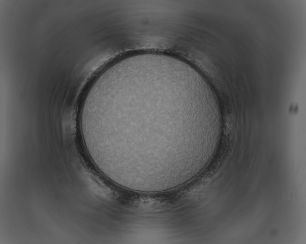 X0000091550632200708241756