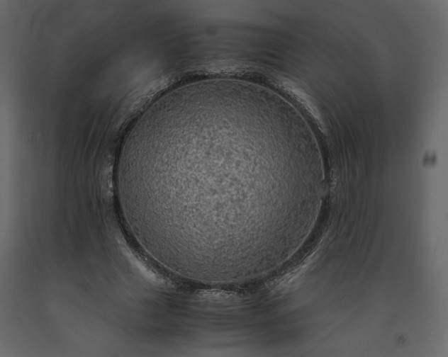 X0000091550633200708241756