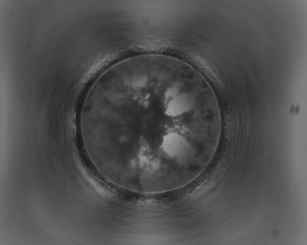 X0000091550634200708241756