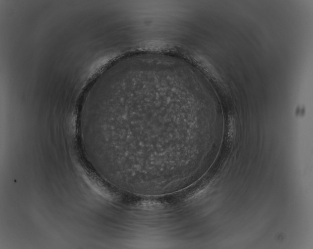 X0000091550636200708241756