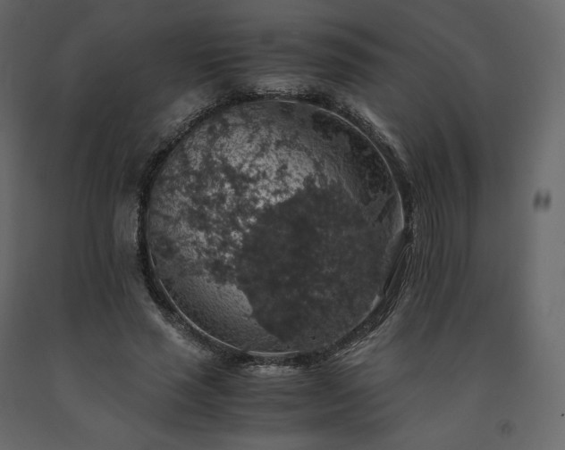 X0000091550637200708241756