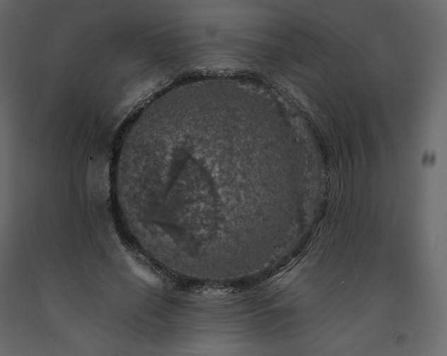 X0000091550638200708241756