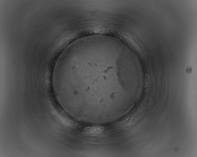 X0000091550639200708241756