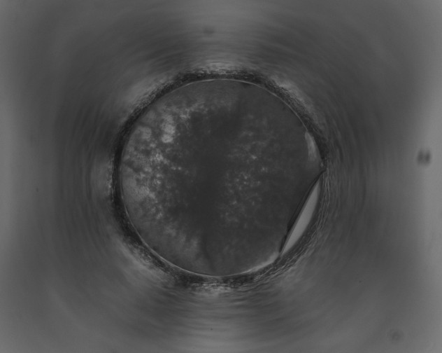 X0000091550640200708241756