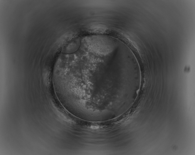 X0000091550641200708241756