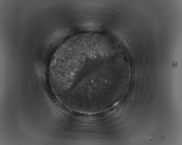 X0000091550643200708241756