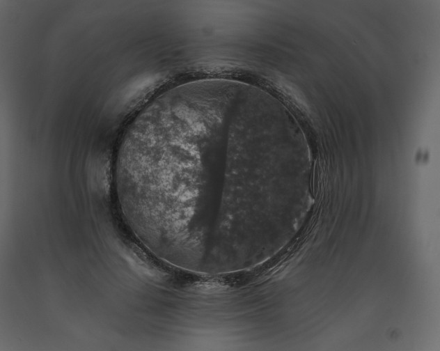 X0000091550644200708241756