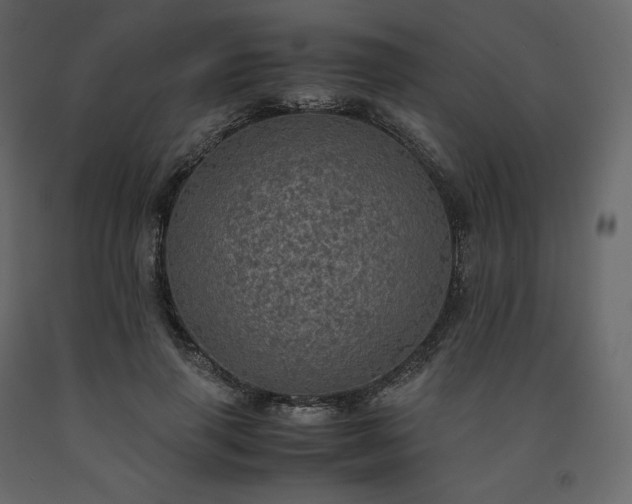 X0000091550645200708241756