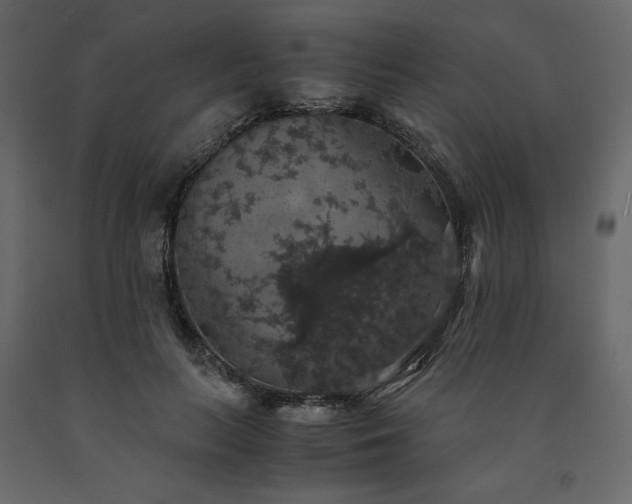 X0000091550647200708241756