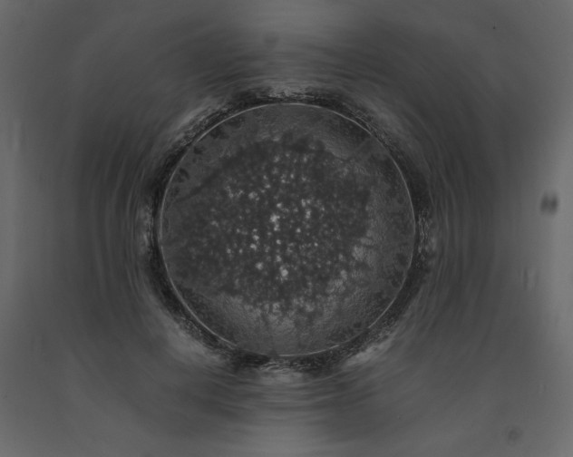 X0000091550648200708241756