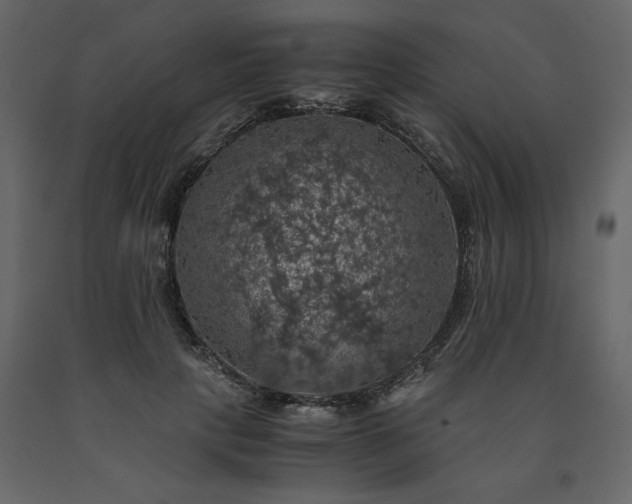 X0000091550649200708241756