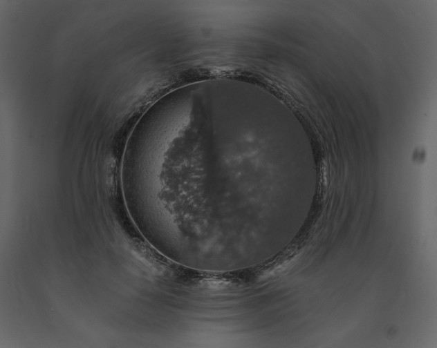 X0000091550650200708241756