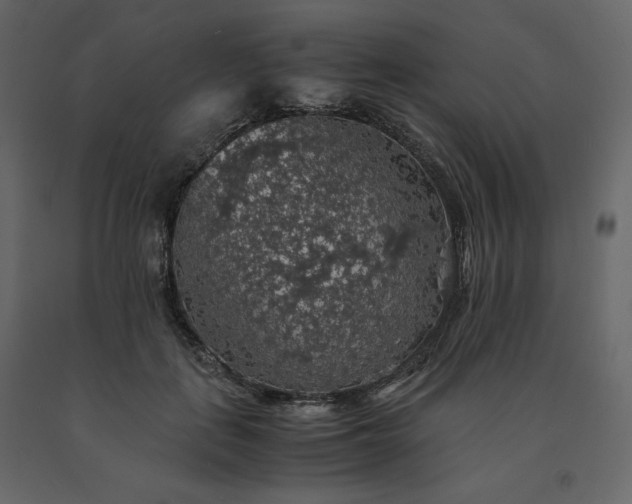 X0000091550651200708241756