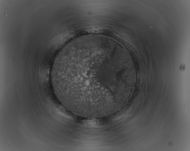 X0000091550652200708241756