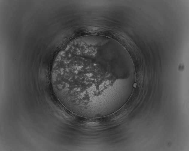 X0000091550653200708241756