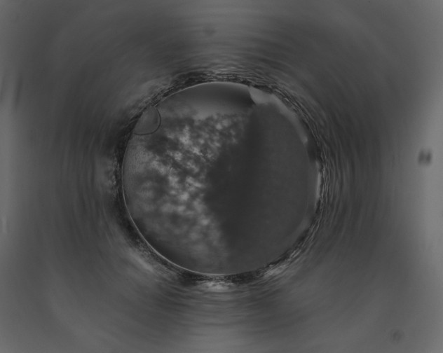 X0000091550654200708241756