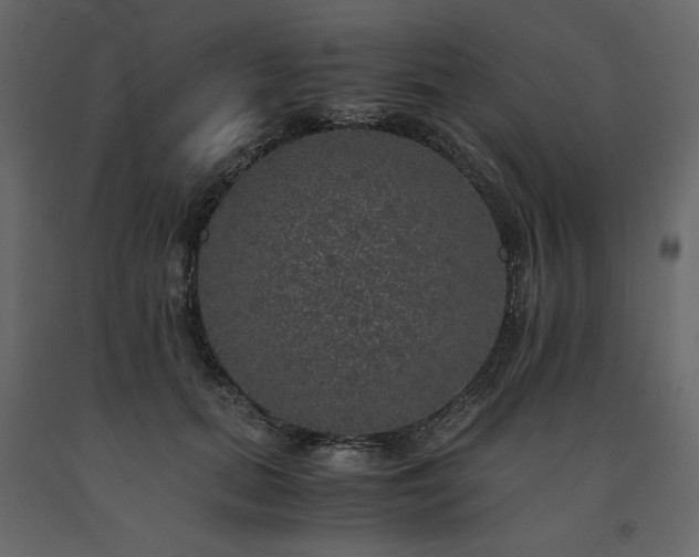 X0000091550655200708241756