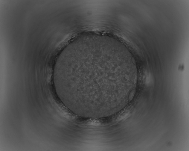 X0000091550656200708241756