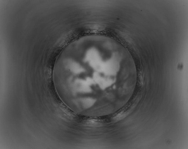 X0000091550657200708241756