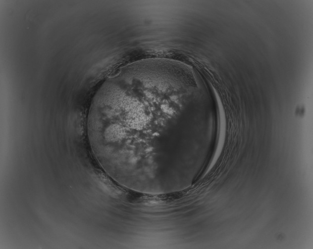 X0000091550658200708241756