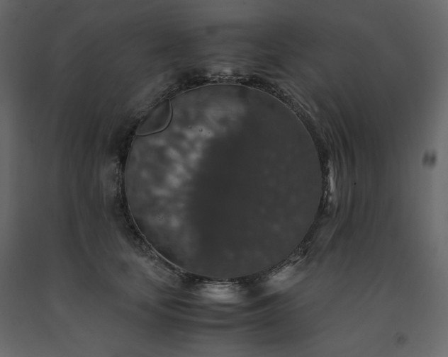 X0000091550659200708241756