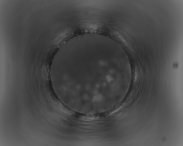 X0000091550661200708241756