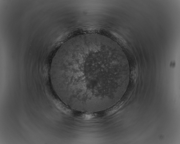 X0000091550662200708241756