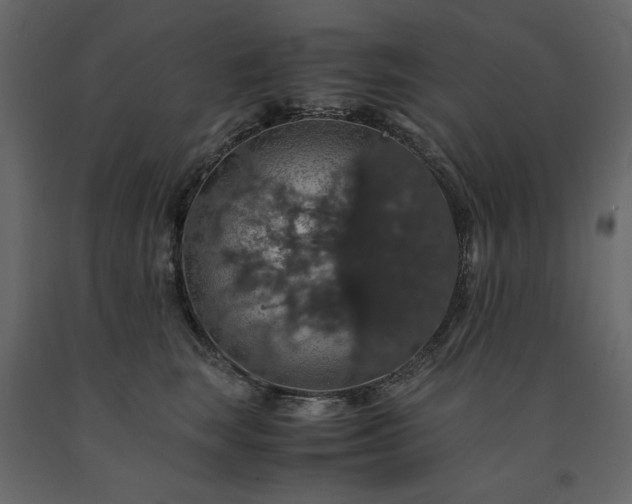 X0000091550663200708241756
