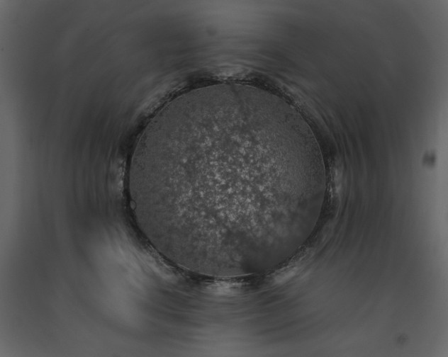 X0000091550664200708241756