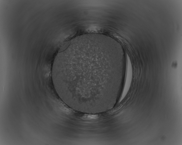 X0000091550665200708241756